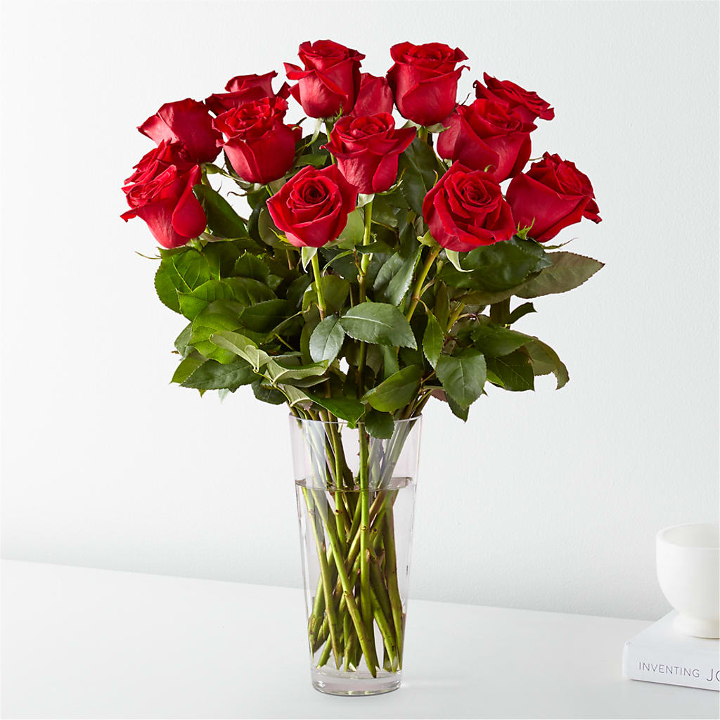 Long Stem Red Rose Bouquet – CAAN FLORAL & GREENHOUSES LLC, Sheboygan WI