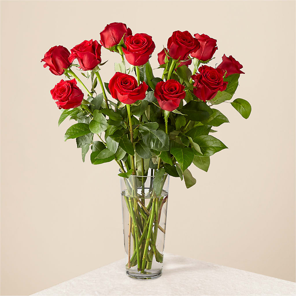 Long Stem Red Rose Bouquet – CAAN FLORAL & GREENHOUSES LLC, Sheboygan WI