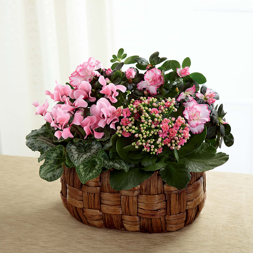 Pink Assortment – CAAN FLORAL & GREENHOUSES LLC, Sheboygan WI