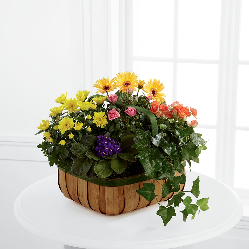 Gentle Blossoms Basket – CAAN FLORAL & GREENHOUSES LLC, Sheboygan WI