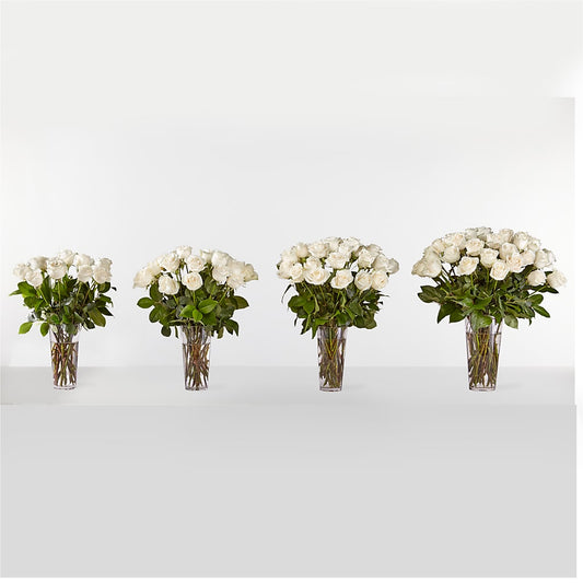 Long Stem White Rose Bouquet – CAAN FLORAL & GREENHOUSES LLC, Sheboygan WI
