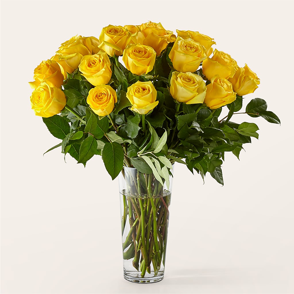 Long Stem Yellow Rose Bouquet – CAAN FLORAL & GREENHOUSES LLC, Sheboygan WI