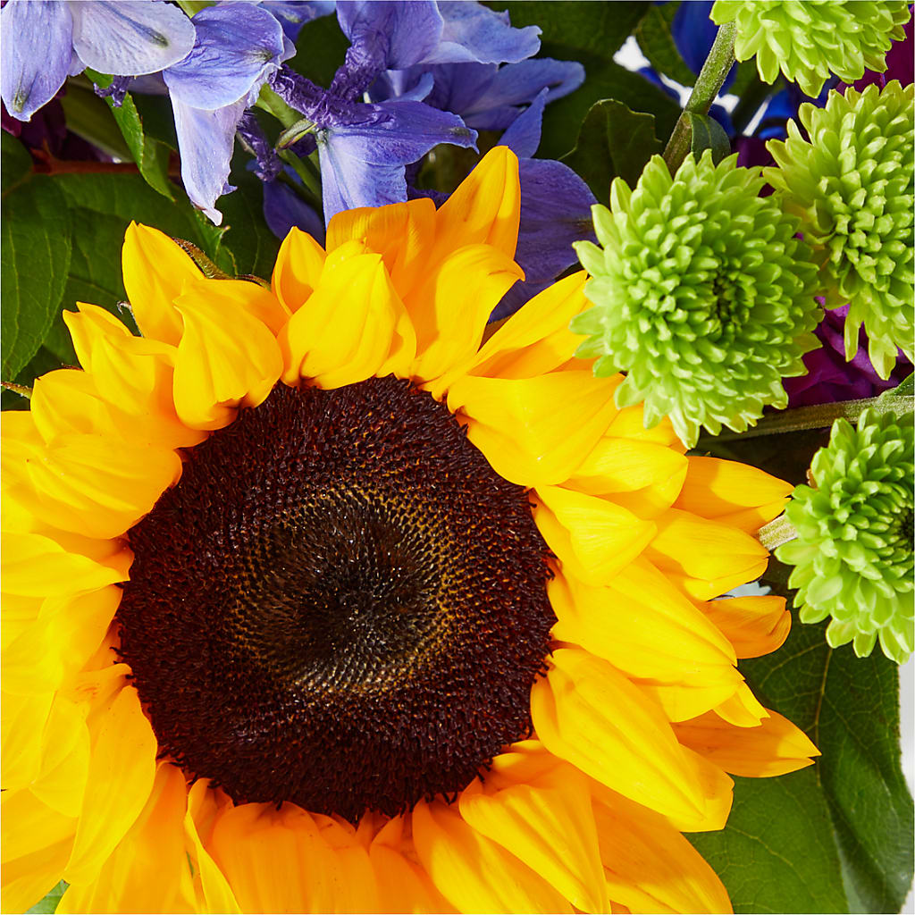Catching Rays Bouquet – CAAN FLORAL & GREENHOUSES LLC, Sheboygan WI