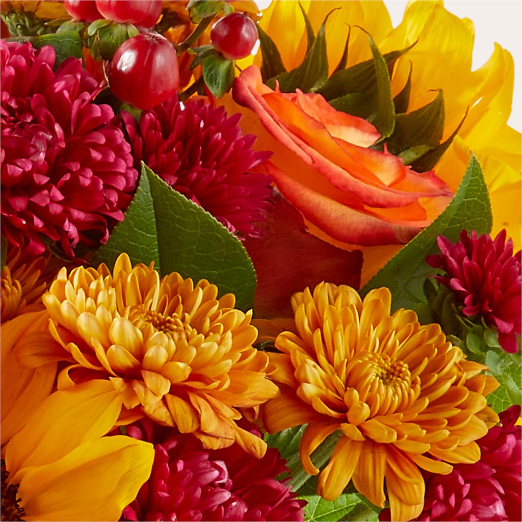 Sweater Season - A Florist Original – CAAN FLORAL & GREENHOUSES LLC, Sheboygan WI