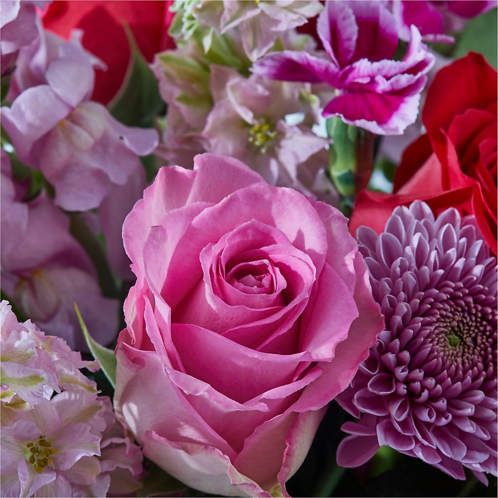 Better Together - A Luxury Florist Original – CAAN FLORAL & GREENHOUSES LLC, Sheboygan WI