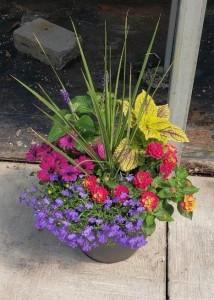 Caan Floral - Mothers Garden – CAAN FLORAL & GREENHOUSES LLC, Sheboygan WI