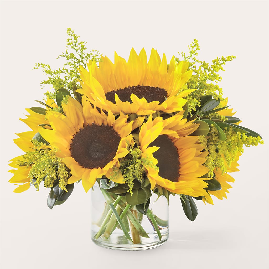 Beaming Sunflower Bouquet – CAAN FLORAL & GREENHOUSES LLC, Sheboygan WI