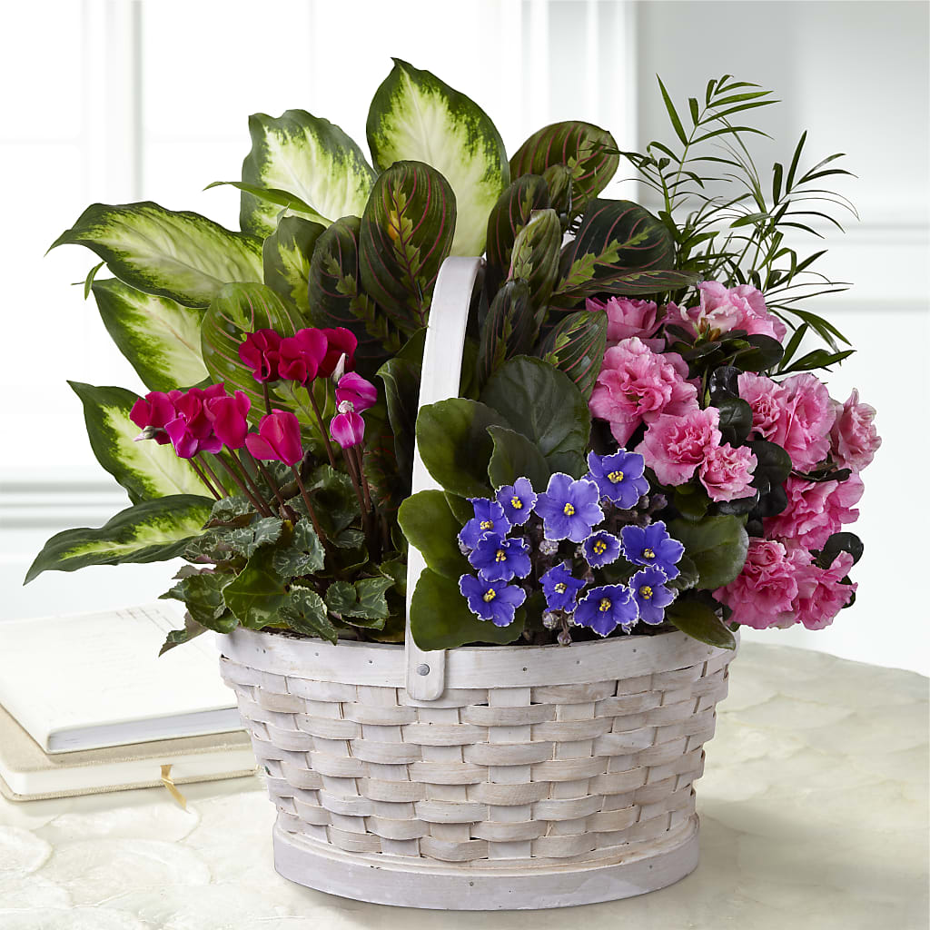 Peaceful Garden Planter – CAAN FLORAL & GREENHOUSES LLC, Sheboygan WI