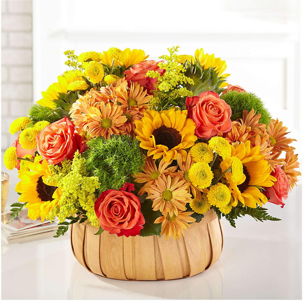 Harvest Sunflower Basket – CAAN FLORAL & GREENHOUSES LLC, Sheboygan WI