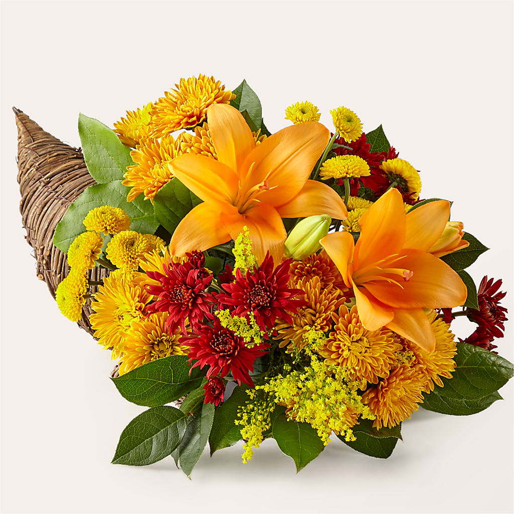 Feast of Color Cornucopia – CAAN FLORAL & GREENHOUSES LLC, Sheboygan WI