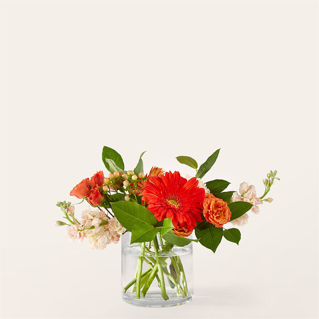 Paloma Please Bouquet – CAAN FLORAL & GREENHOUSES LLC, Sheboygan WI