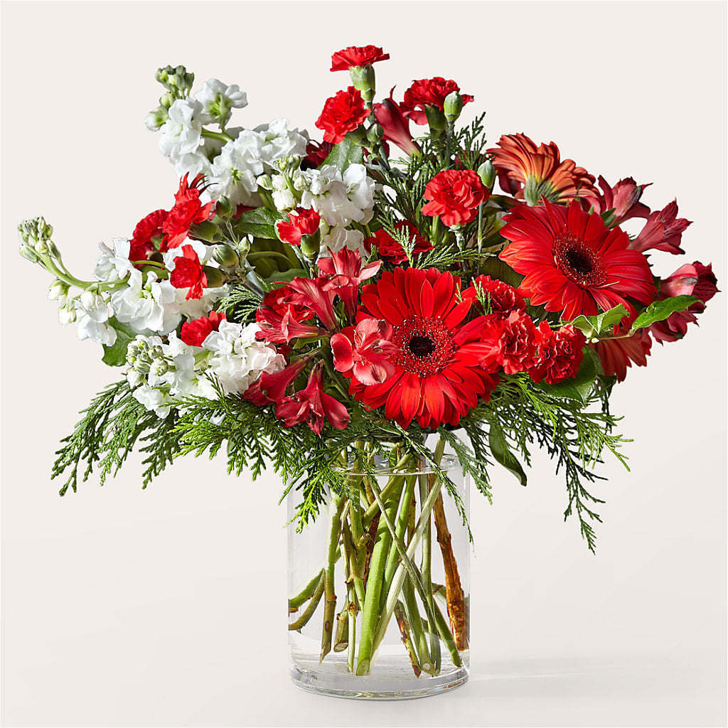 Holidaisy Bouquet – CAAN FLORAL & GREENHOUSES LLC, Sheboygan WI