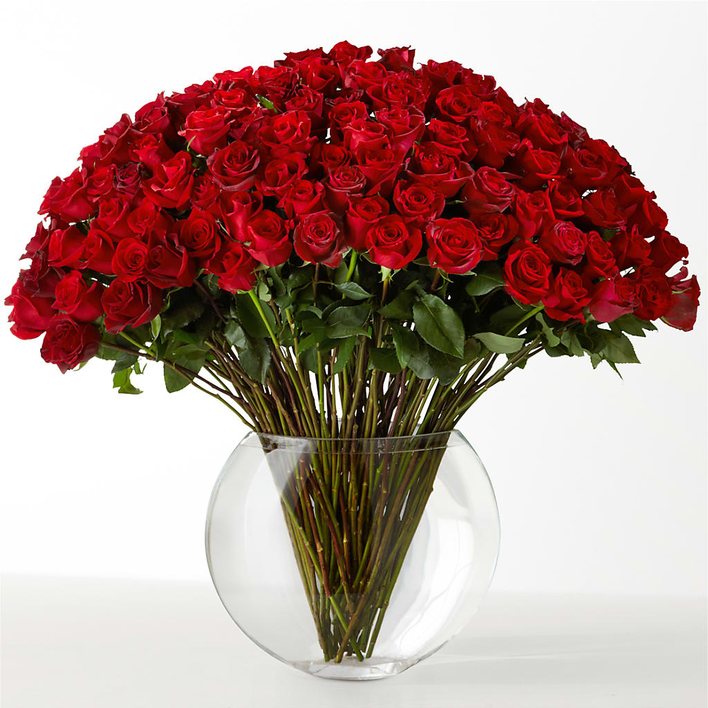The Idealist – CAAN FLORAL & GREENHOUSES LLC, Sheboygan WI