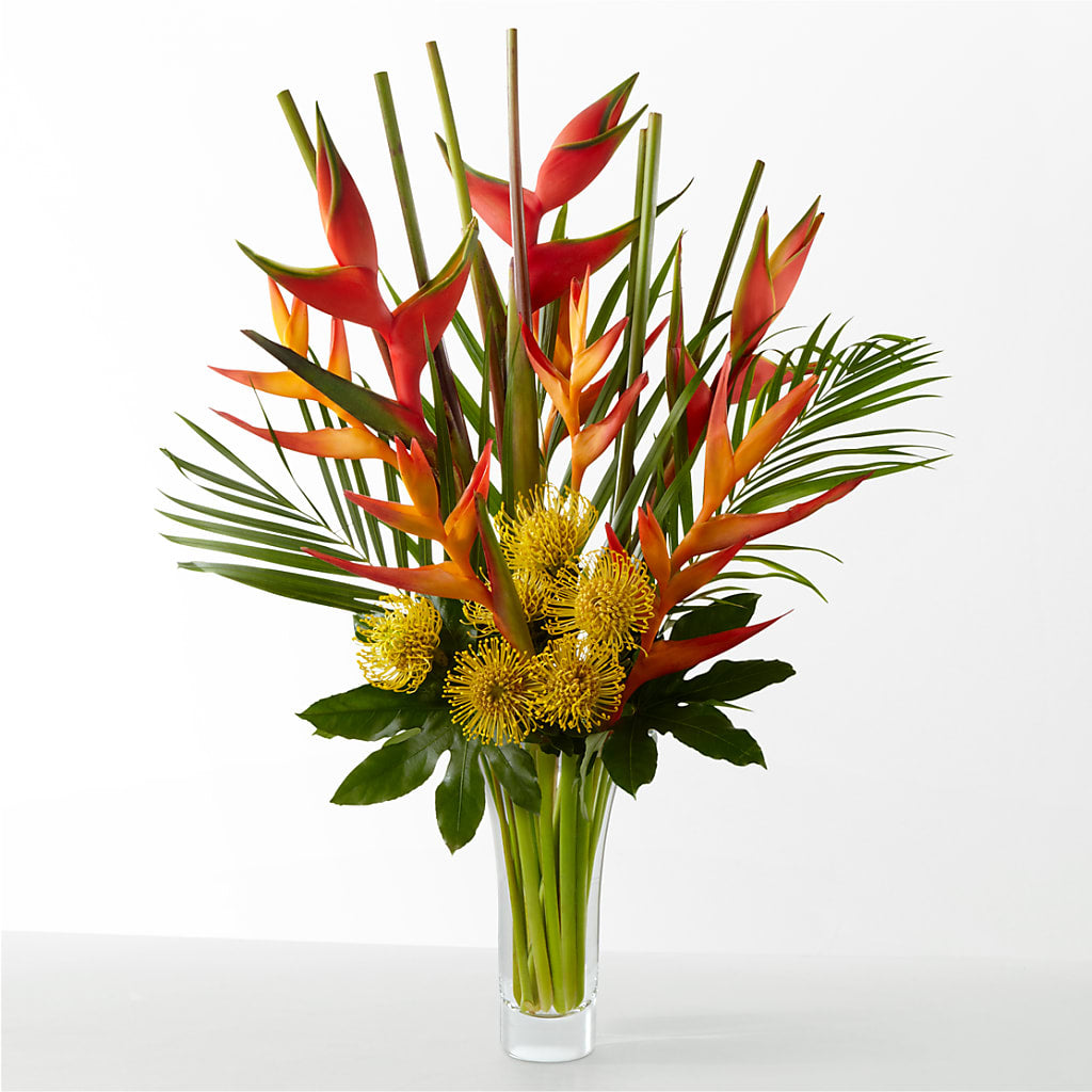 The Drama – CAAN FLORAL & GREENHOUSES LLC, Sheboygan WI