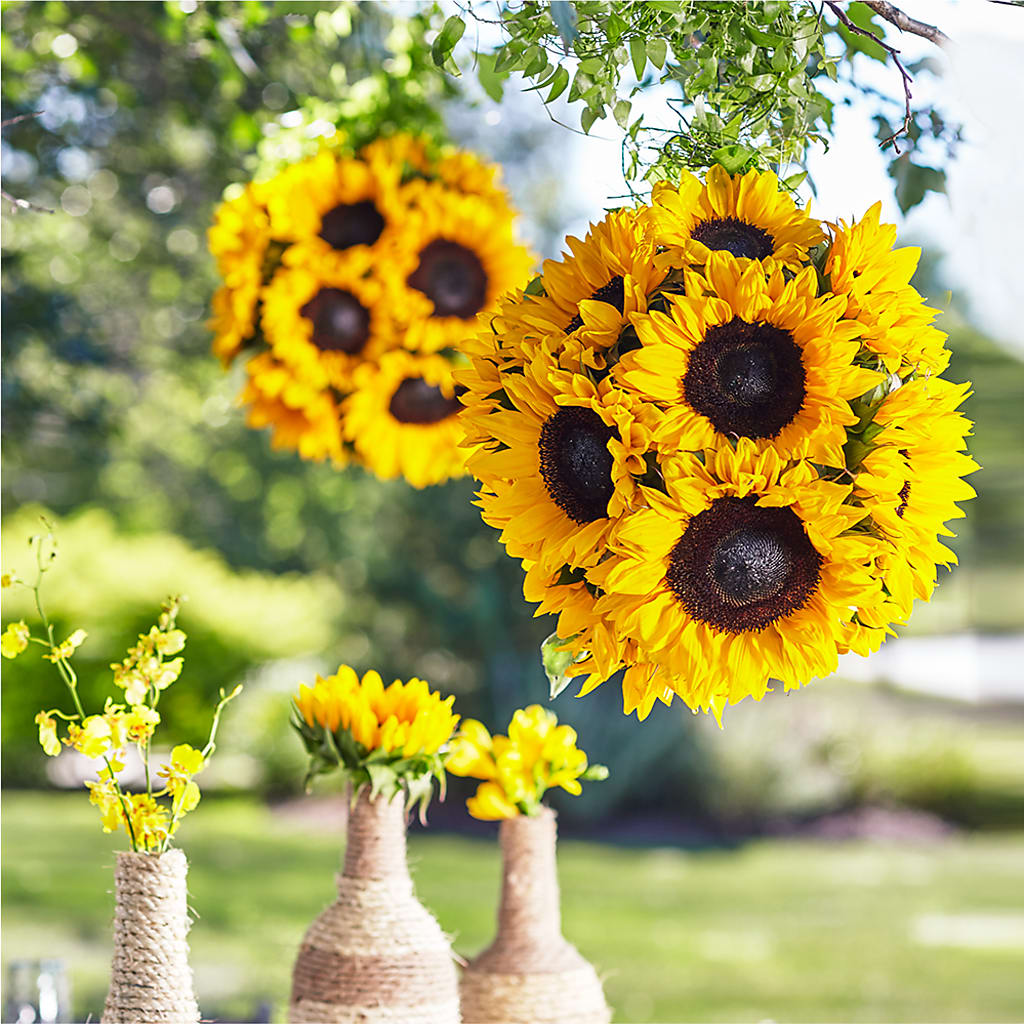 Sublime Garden Hanging Arrangement – CAAN FLORAL & GREENHOUSES LLC, Sheboygan WI