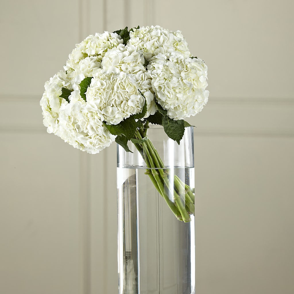 White Hydrangea Hand-Tied Bouquet – CAAN FLORAL & GREENHOUSES LLC, Sheboygan WI