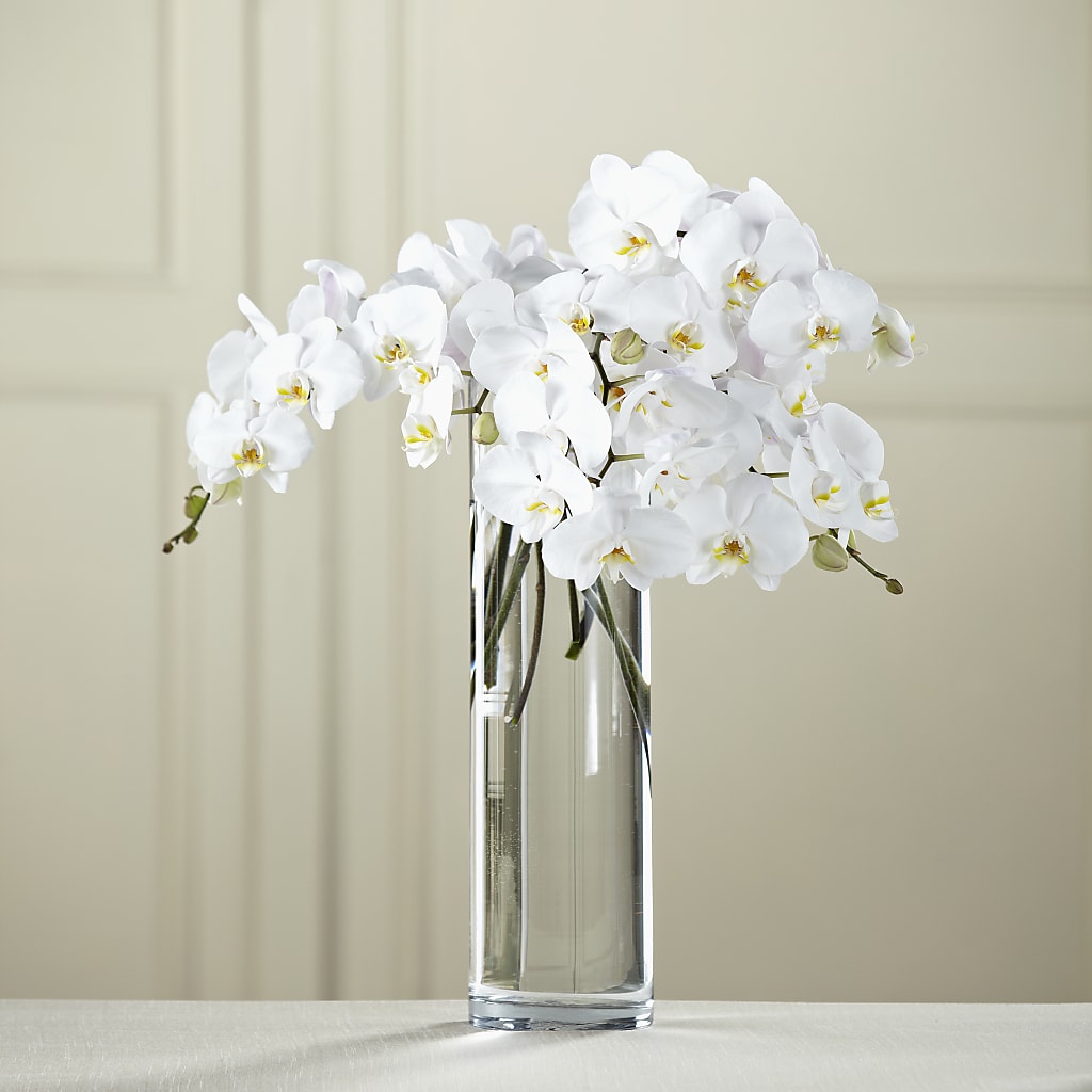 White Phalaenopsis Bouquet – CAAN FLORAL & GREENHOUSES LLC, Sheboygan WI