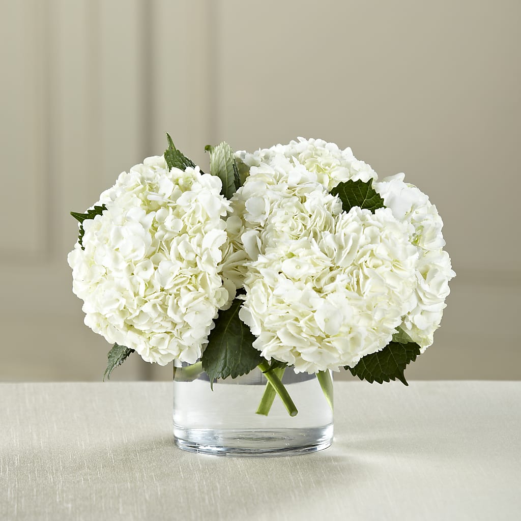 White Hydrangea Bouquet – CAAN FLORAL & GREENHOUSES LLC, Sheboygan WI