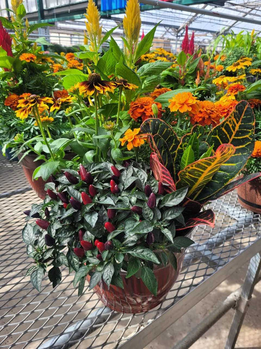 11" Fall Drip Pot Planter – CAAN FLORAL & GREENHOUSES LLC, Sheboygan WI