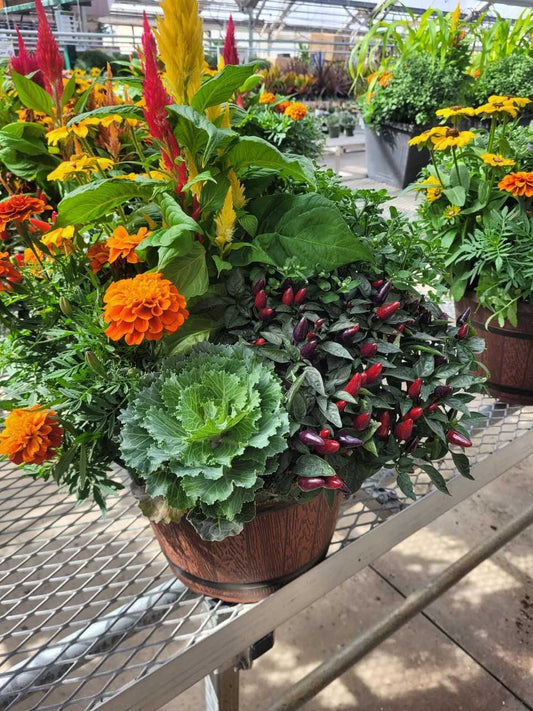 12" Fall Barrel Planter – CAAN FLORAL & GREENHOUSES LLC, Sheboygan WI
