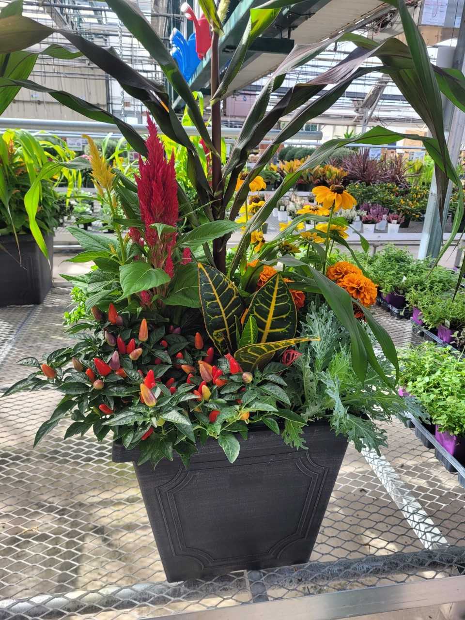 14" Fall Outdoor Planter – CAAN FLORAL & GREENHOUSES LLC, Sheboygan WI