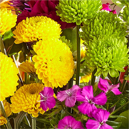 Bold & Bright – A Florist Original – CAAN FLORAL & GREENHOUSES LLC, Sheboygan WI