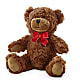 Adorable Plush Bear – CAAN FLORAL & GREENHOUSES LLC, Sheboygan WI