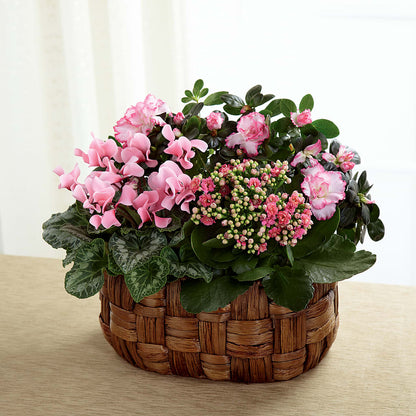 Pink Assortment – CAAN FLORAL & GREENHOUSES LLC, Sheboygan WI