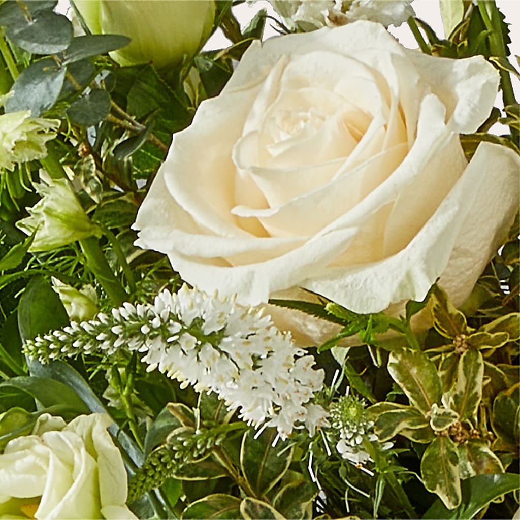 Cashmere Bouquet – CAAN FLORAL & GREENHOUSES LLC, Sheboygan WI