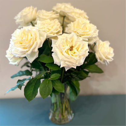 Long Stem Yellow Rose Bouquet – CAAN FLORAL & GREENHOUSES LLC, Sheboygan WI