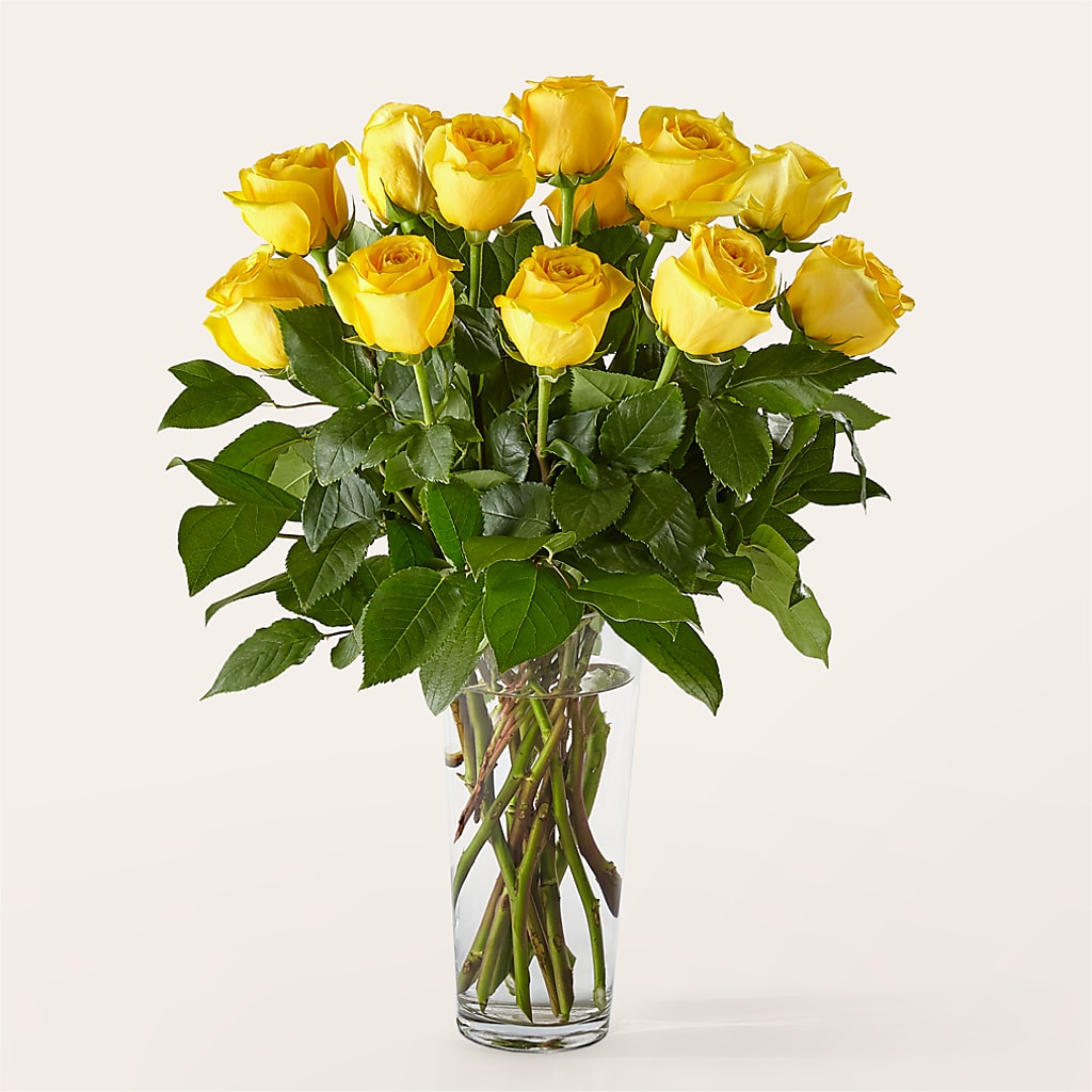 Long Stem Yellow Rose Bouquet – CAAN FLORAL & GREENHOUSES LLC, Sheboygan WI