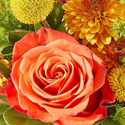 Gourdgeous Pumpkin – CAAN FLORAL & GREENHOUSES LLC, Sheboygan WI