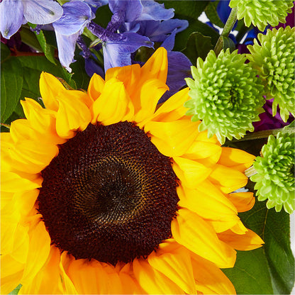 Catching Rays Bouquet – CAAN FLORAL & GREENHOUSES LLC, Sheboygan WI