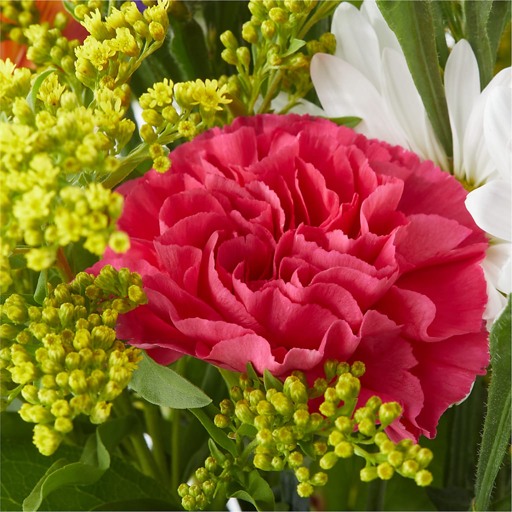 Oopsie Daisy Bouquet – CAAN FLORAL & GREENHOUSES LLC, Sheboygan WI
