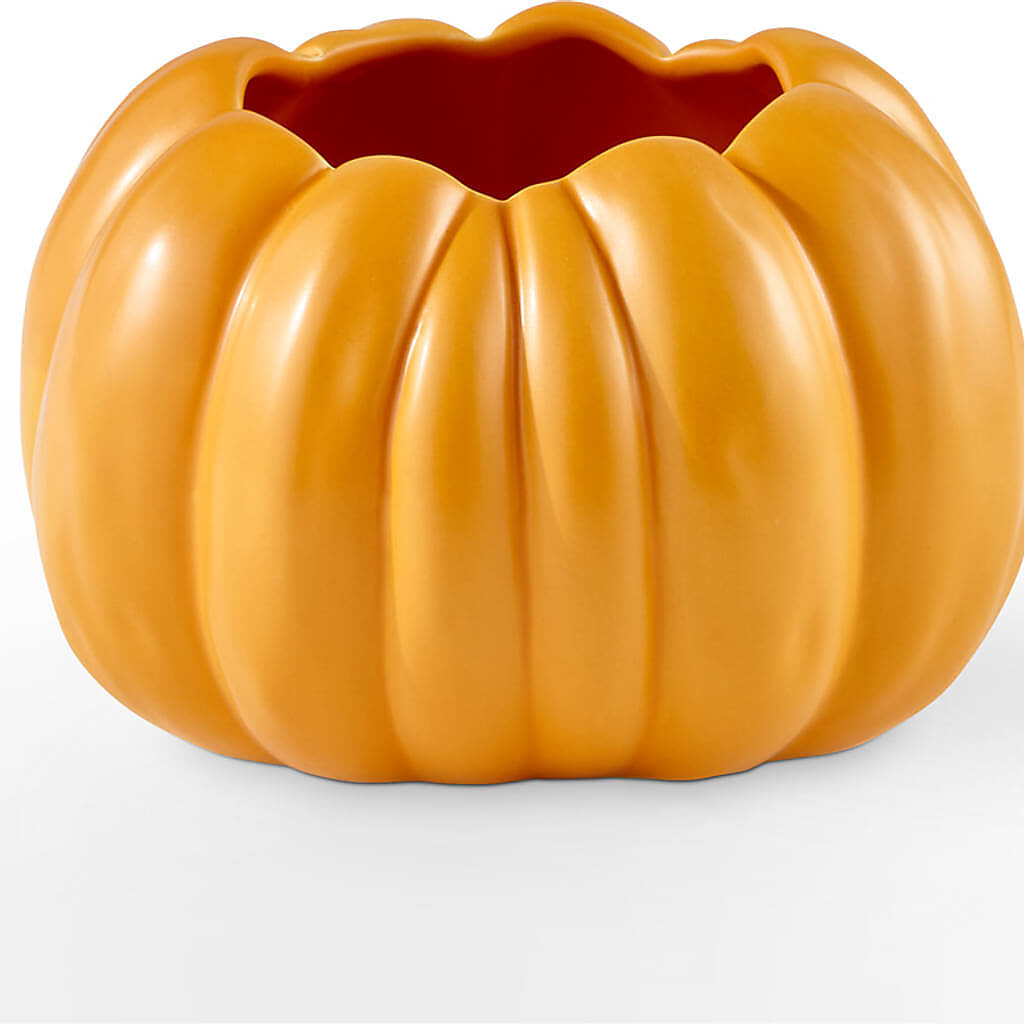 Golden Gourd Pumpkin Bouquet – CAAN FLORAL & GREENHOUSES LLC, Sheboygan WI