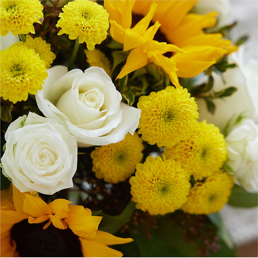 Luminous Morning Bouquet – CAAN FLORAL & GREENHOUSES LLC, Sheboygan WI