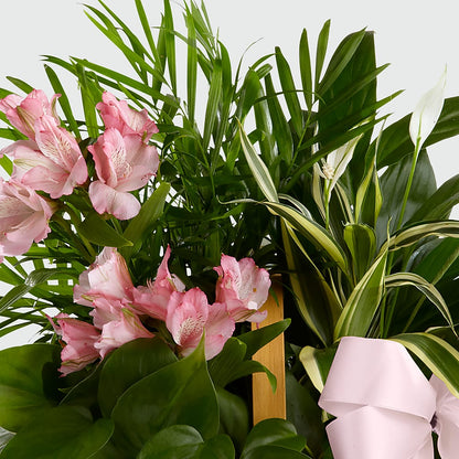 Living Spirit Dishgarden – CAAN FLORAL & GREENHOUSES LLC, Sheboygan WI