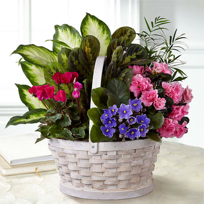 Peaceful Garden Planter – CAAN FLORAL & GREENHOUSES LLC, Sheboygan WI