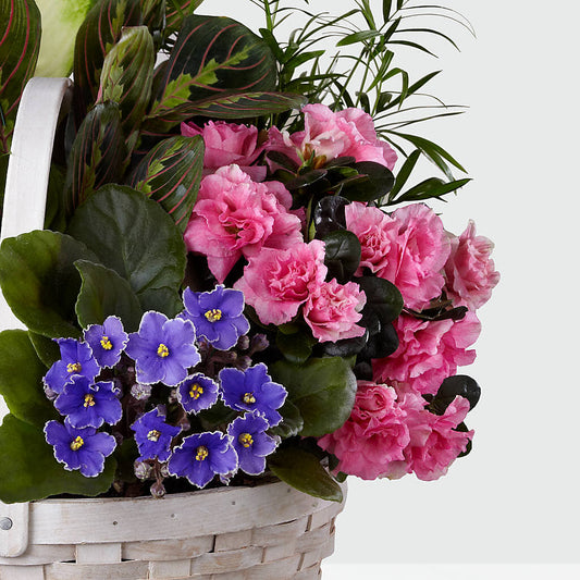 Peaceful Garden Planter – CAAN FLORAL & GREENHOUSES LLC, Sheboygan WI