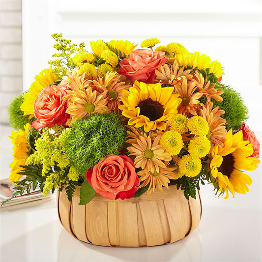 Harvest Sunflower Basket – CAAN FLORAL & GREENHOUSES LLC, Sheboygan WI