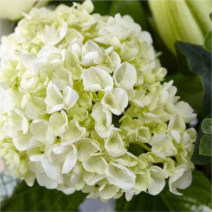 Classic Ivory – A Florist Original – CAAN FLORAL & GREENHOUSES LLC, Sheboygan WI