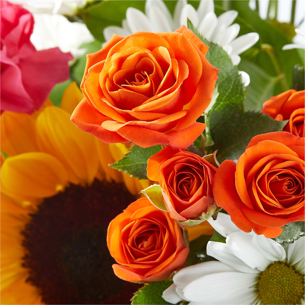 Sun-drenched Blooms Bouquet – CAAN FLORAL & GREENHOUSES LLC, Sheboygan WI