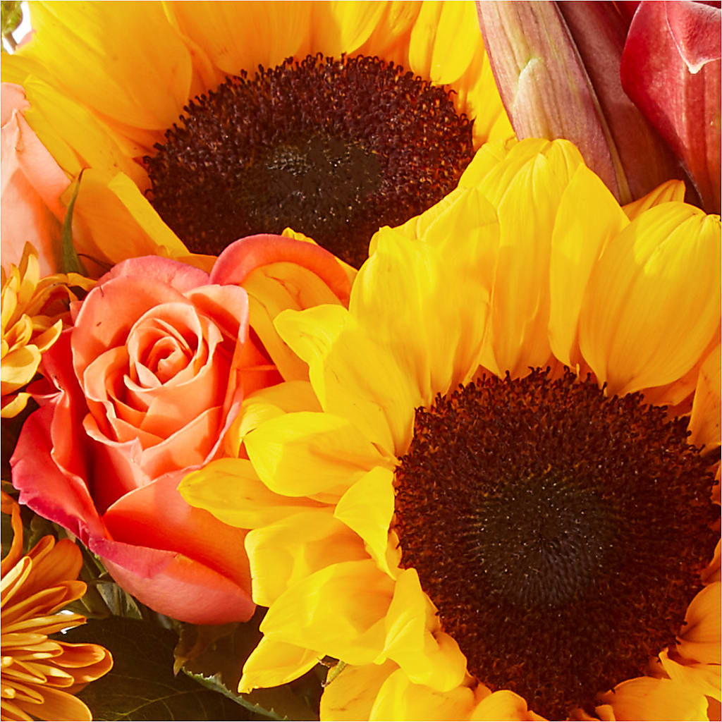 Acorn Lane Bouquet – CAAN FLORAL & GREENHOUSES LLC, Sheboygan WI