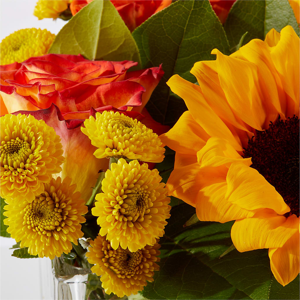 Picnic in the Park Bouquet – CAAN FLORAL & GREENHOUSES LLC, Sheboygan WI
