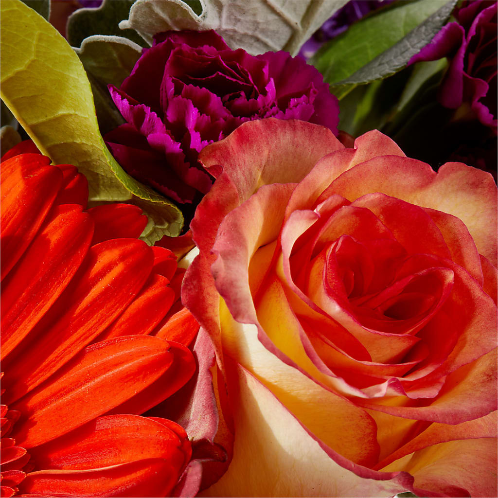 Sangria Bouquet – CAAN FLORAL & GREENHOUSES LLC, Sheboygan WI