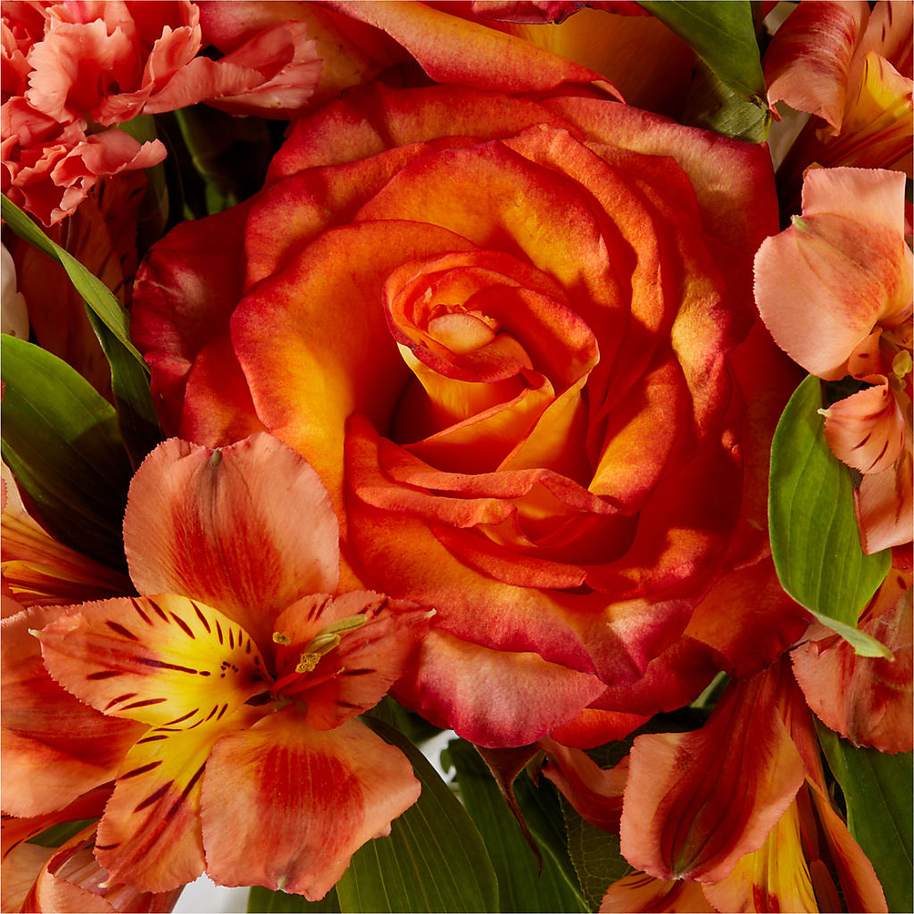 Apricot Glow Bouquet – CAAN FLORAL & GREENHOUSES LLC, Sheboygan WI