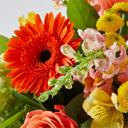 Autumn Sunshine Bouquet – CAAN FLORAL & GREENHOUSES LLC, Sheboygan WI