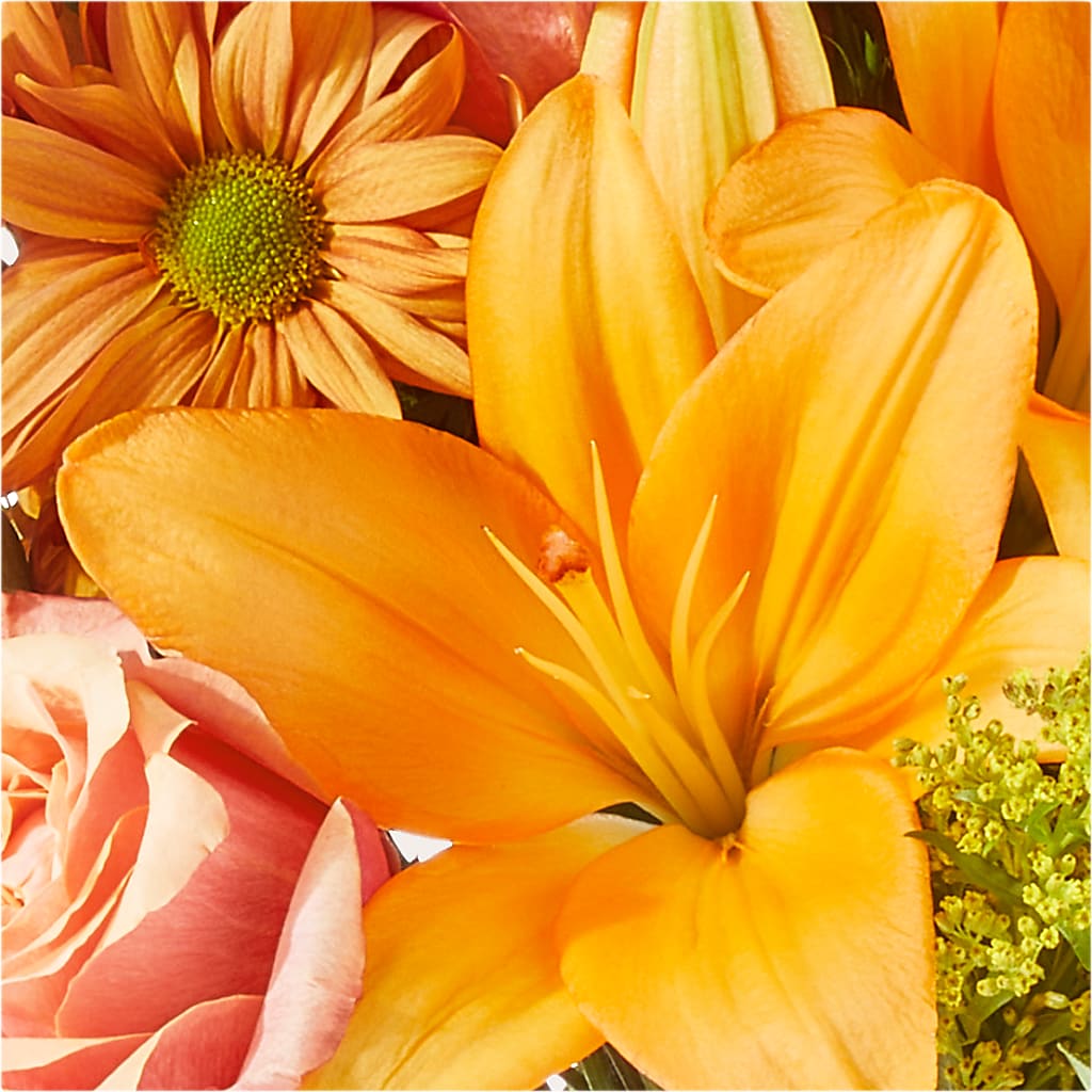 Harvest Hayride Bouquet – CAAN FLORAL & GREENHOUSES LLC, Sheboygan WI