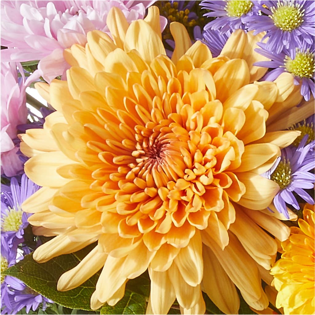 Countryside Bouquet – CAAN FLORAL & GREENHOUSES LLC, Sheboygan WI