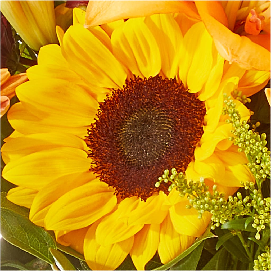 Seasons Change Bouquet – CAAN FLORAL & GREENHOUSES LLC, Sheboygan WI